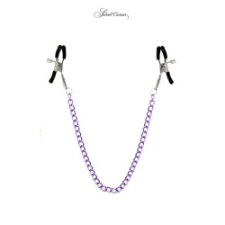 Chaine et pinces à seins...