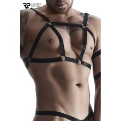 Ensemble harnais et deux...