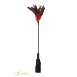 Tapette à plumes rouges et...