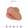 Fessier vibrant Alexis