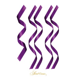 5 liens satin pourpre -...