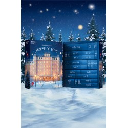 Calendrier de l'Avent Satisfyer Deluxe 2025