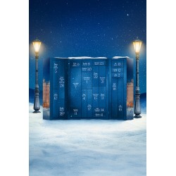 Calendrier de l'Avent Satisfyer Premium 2025